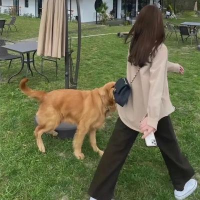 少年擒寇记
